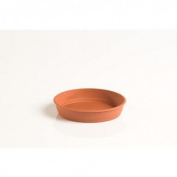 PLATO GARDENIA 10CM PARA...