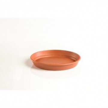 PLATO GARDENIA...