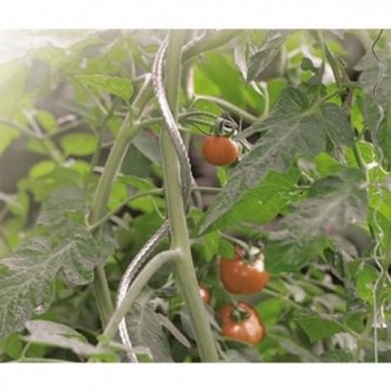 TUTOR ESPIRAL PARA TOMATES...