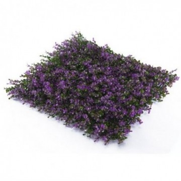 JARDIN VERTICAL LAVANDA...